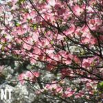 Weekend Fun, March 28 – 30